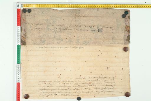 Collection of Wolfgang Bertsch (WB) ID 3841 (1652_WB_4)