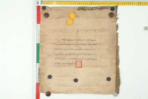 Collection of Wolfgang Bertsch (WB) ID 3843 (1654_WB_6)