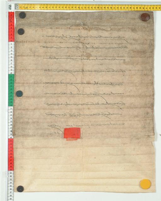 Collection of Wolfgang Bertsch (WB) ID 3845 (1651_WB_3)