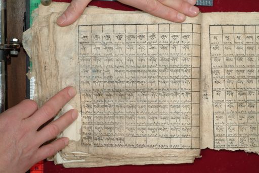 canvas: 1640bd_LTWA_881