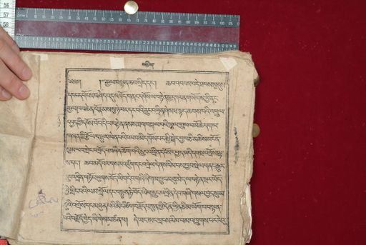 canvas: 1640b_LTWA_881