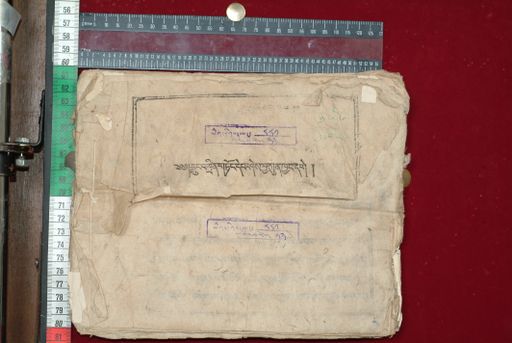 Library of Tibetan Works and Archives (LTWA) ID 3849 (1640_LTWA_881)