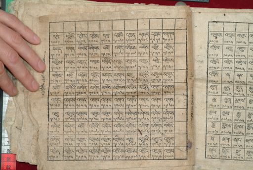 canvas: 1640o_LTWA_881