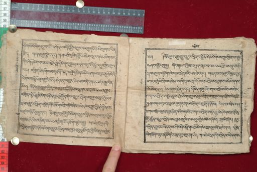 canvas: 1640c_LTWA_881