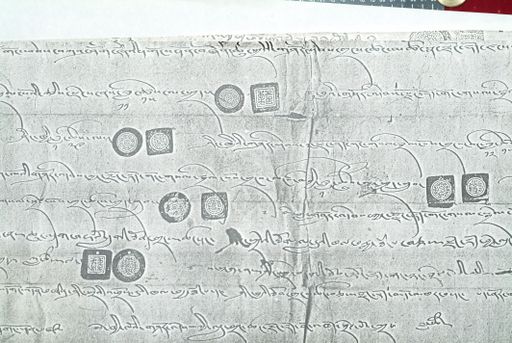 canvas: 1631e_LTWA_872