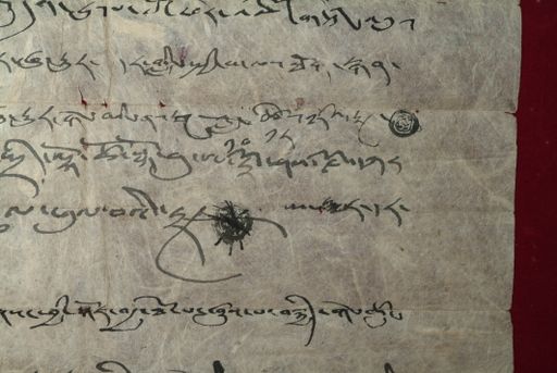 canvas: 1465e_LTWA_707