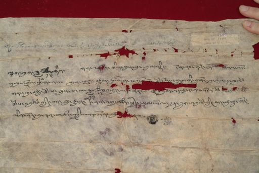 canvas: 1464c_LTWA_706