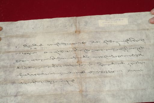 canvas: 1470c_LTWA_712