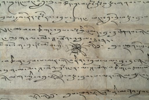 canvas: 1466d_LTWA_708