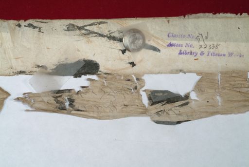 canvas: 1366b_LTWA_608