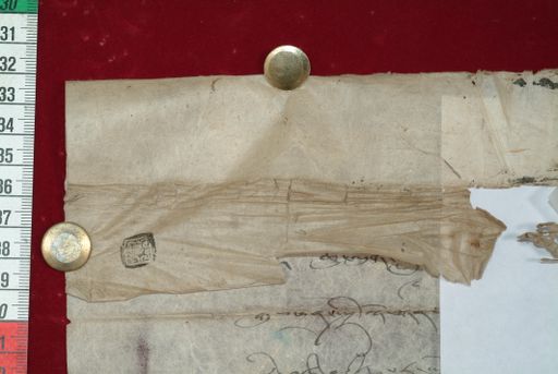 canvas: 1366c_LTWA_608