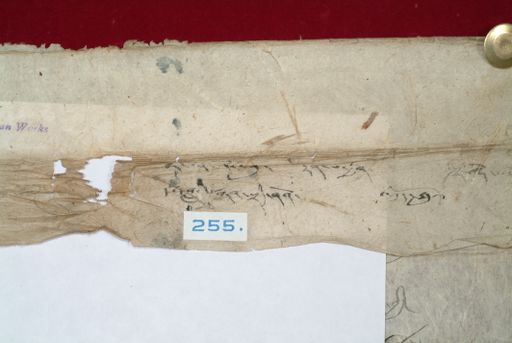 canvas: 1366d_LTWA_608