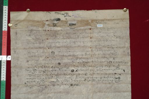 Library of Tibetan Works and Archives (LTWA) ID 3867 (1366_LTWA_608)