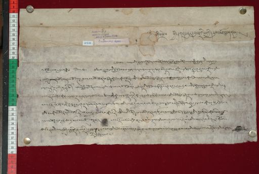 Library of Tibetan Works and Archives (LTWA) ID 3868 (1369_LTWA_611)