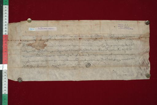 Library of Tibetan Works and Archives (LTWA) ID 3869 (1368_LTWA_610)