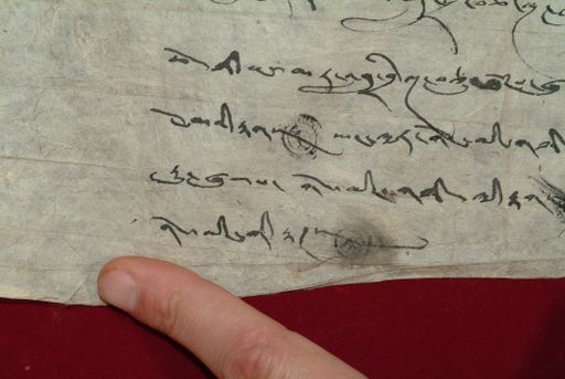 canvas: 1365h_LTWA_607