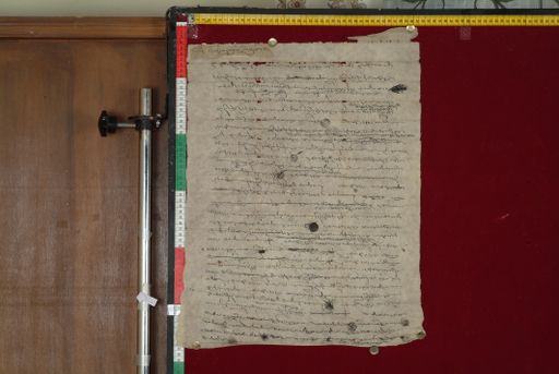 canvas: 1365c_LTWA_607