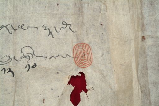 canvas: 1582l_LTWA_823