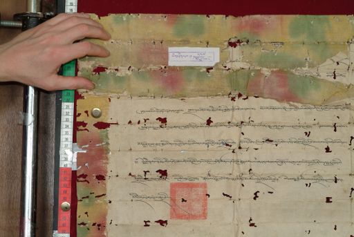 Library of Tibetan Works and Archives (LTWA) ID 3881 (1586_LTWA_827)