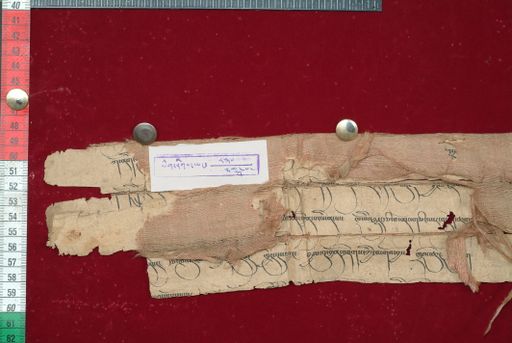 Library of Tibetan Works and Archives (LTWA) ID 3882 (1589_LTWA_830)