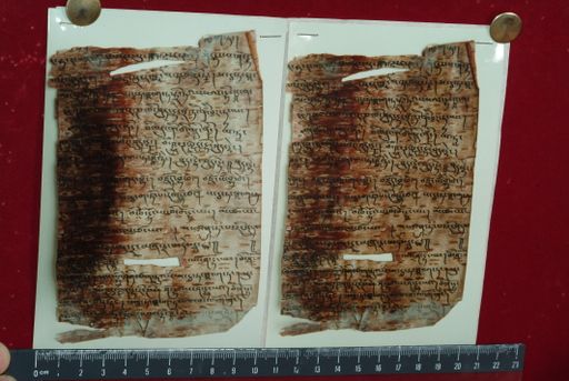 Library of Tibetan Works and Archives (LTWA) ID 3883 (1581_LTWA_822)