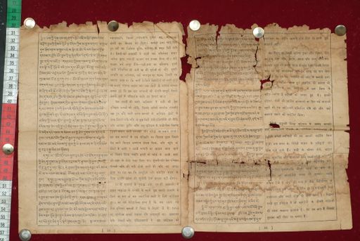 canvas: 1584f_LTWA_825