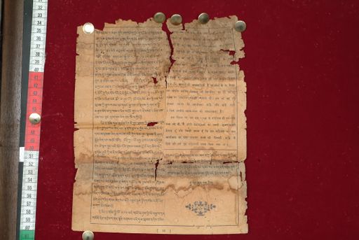 canvas: 1584g_LTWA_825