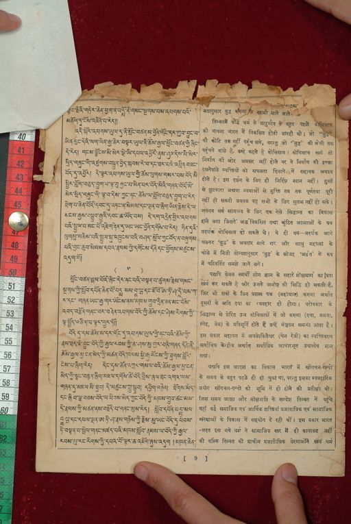 canvas: 1584b_LTWA_825