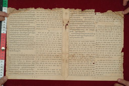 canvas: 1584c_LTWA_825