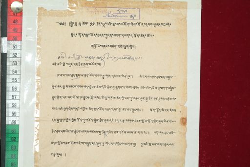 canvas: 1590b_LTWA_831