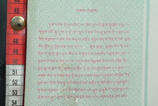 canvas: 1578c_LTWA_819