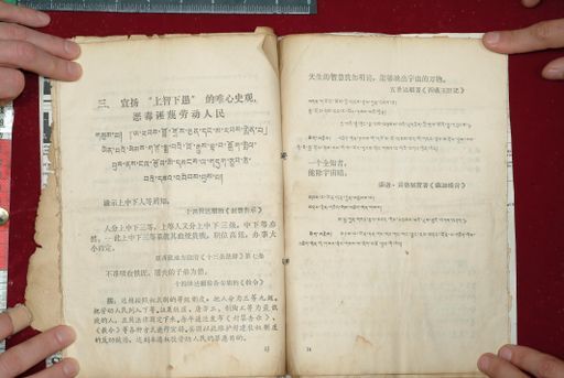 canvas: 1577t_LTWA_818