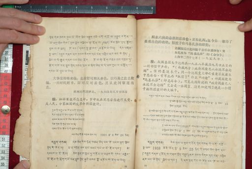 canvas: 1577i_LTWA_818