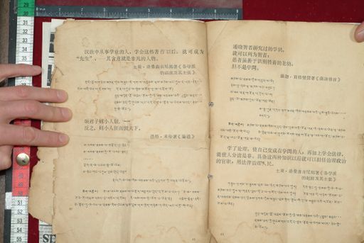 canvas: 1577f_LTWA_818