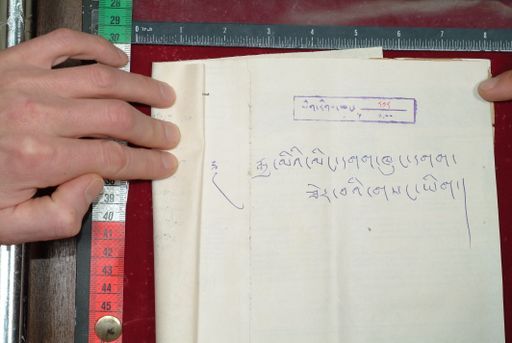 Library of Tibetan Works and Archives (LTWA) ID 3888 (1577_LTWA_818)
