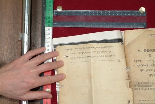 canvas: 1577d_LTWA_818