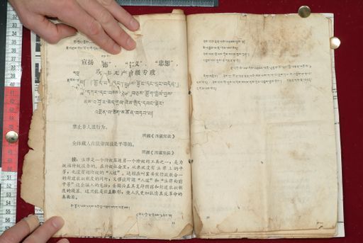 canvas: 1577p_LTWA_818