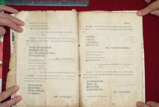 canvas: 1577r_LTWA_818