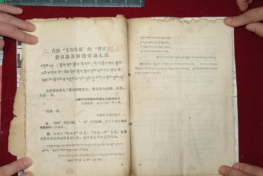 canvas: 1577v_LTWA_818