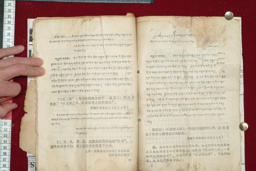 canvas: 1577o_LTWA_818