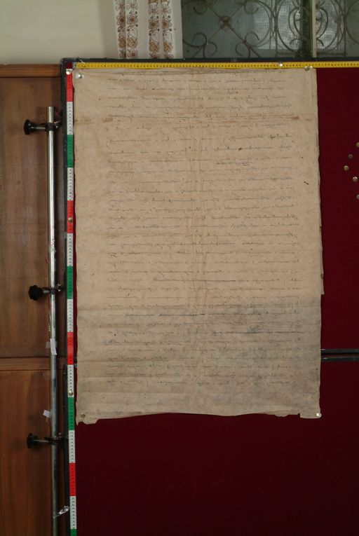 canvas: 1571d_LTWA_812