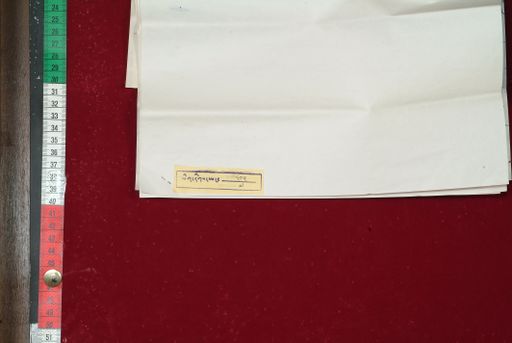 Library of Tibetan Works and Archives (LTWA) ID 3892 (1574_LTWA_815)