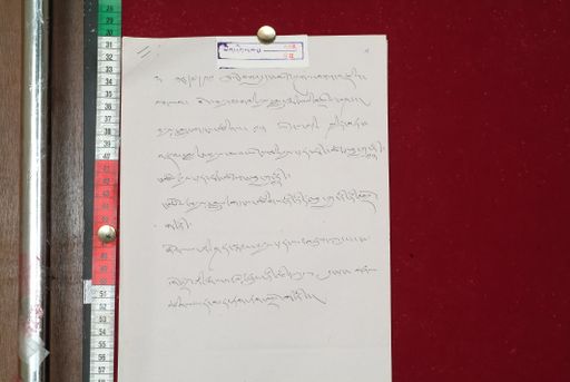 Library of Tibetan Works and Archives (LTWA) ID 3895 (1572_LTWA_813)