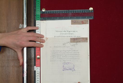 Library of Tibetan Works and Archives (LTWA) ID 3896 (1575_LTWA_816)