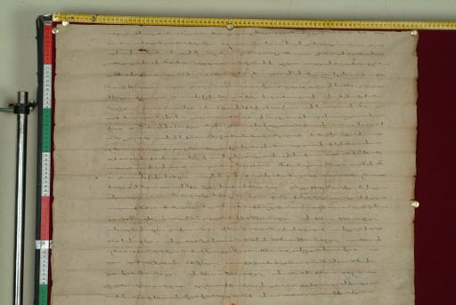 canvas: 0830j_LTWA_22