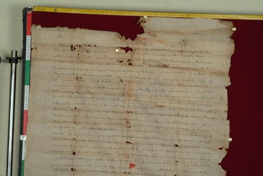 canvas: 0830b_LTWA_22