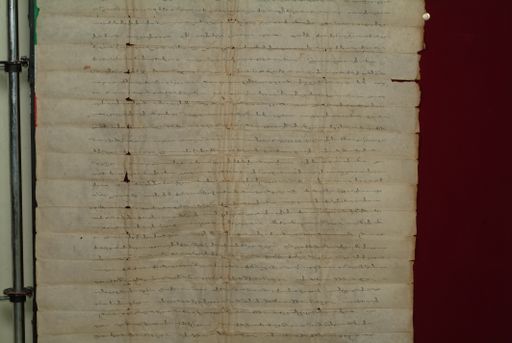 canvas: 0830h_LTWA_22