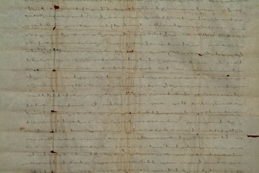 canvas: 0830g_LTWA_22