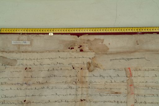 Library of Tibetan Works and Archives (LTWA) ID 3897 (0830_LTWA_22)