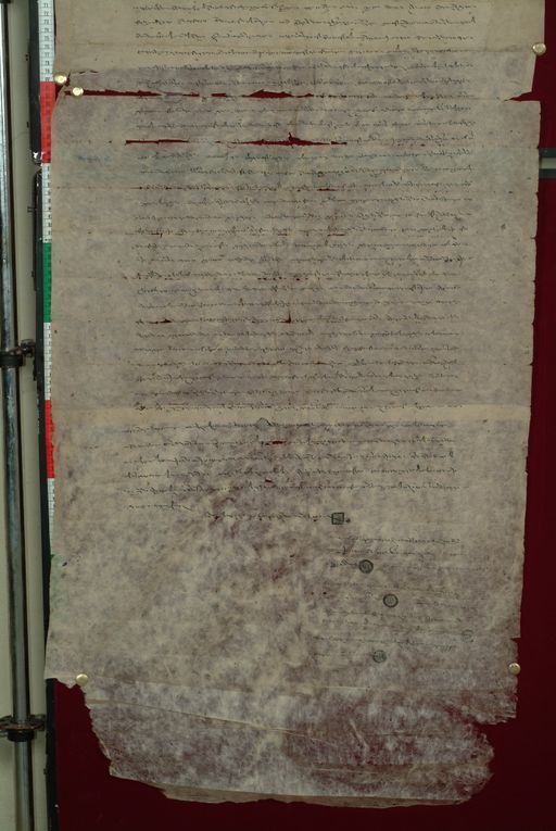 canvas: 0825d_LTWA_17